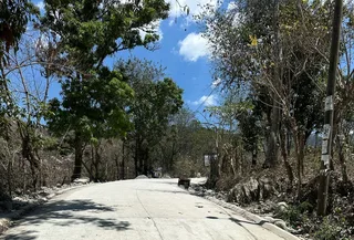 Avance de obra del 25/04/2025 — foto 4