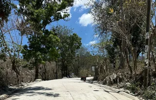 Avance de obra del 25/04/2025 — foto 3
